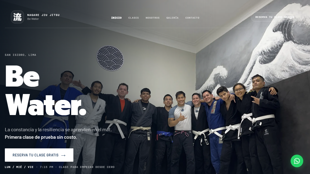 Nagare Jiu Jitsu — captura del sitio